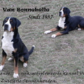 Van Bonnebelle