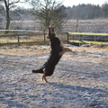 farmerhouserufan, ODH Kennel