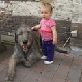 Gaelforce Irish Wolfhounds