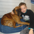 Boxer
