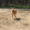 Waarom lachen jullie met me? Is er iets met me? :)