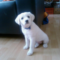 Inmiddels alweer 6 jaar geleden, maar wat was ze schattig!
