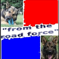 From the Road Force