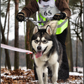 februari 2013, shasta en ik zijn al een seizoen aan het trainen in de sledehondensport, en het werd tijd voor onze eerste wedstrijd!
ons doel: plezier hebben en een leuke eerste wedstrijd lopen. 
Een foto zegt meer dan 1000 woorden! Heel trots op deze plaat!

(we zijn uiteindelijk 23e geworden van de 25 in onze klasse, maar god wat hebben we plezier gehad!)