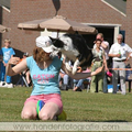 Guide en ik gaven een frisbee demo op onze hondenschool. Super mooi en super gaaf om te doen.
We kunnen dit nu niet meer doen omdat Guide rugproblemen heeft, dit is voor mij echt samenspel :-) 