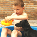 Een héél dierbare foto...
1 van de laatste foto's van ons teckelmannetje die véél te vroeg moest gaan!