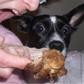 Lilly is verschrikt,: