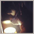 Mijn Husky Juno kijkt altijd graag naar buiten.
Zo ook nu, in het donker. Vind t een erg gave foto geworden :D