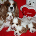 Of LyLa's Dream