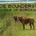 Van de Bounderstreek