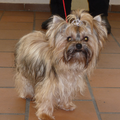 @ Jolly Shelter