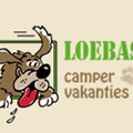 Camperverhuur (goedkoop) met hond (Ruinerwold)