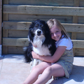 aces legacy border collie