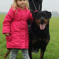 van Brixenburg Rottweilers