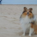 Iemand in de linker bovenhoek vind het zand erg interessant :) 