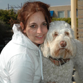 Dog Sweet Dog 