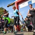 VIER VOETERS Doggy Marathon