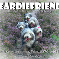 Beardiefriends