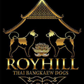 Royhill