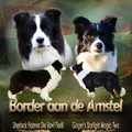 Border aan de Amstel