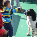 Kennel Sumaringahem (KMSH Van het Bramendal)