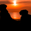 Lente is... die eerste mooie zonsondergang. Genietend van de lekkere temperatuur, het strand en de hondjes.