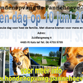 open dag hondenopvang de pannehoeve