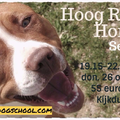 Hoog Risico Honden seminar