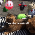 Boomer pups v.d.Twentsche weide