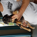 Manmade Kennels Europe