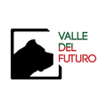Valle Del Futuro