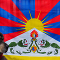 Clubmatch Tibetaanse Mastiff Club