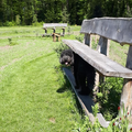 Landgoed zwaluwenburg en de A. Vogeltuinen is ligt in 't Harde.
Het is een mooie plek om met de hond te wandelen.