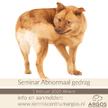 Seminar: Abnormaal gedrag bij honden