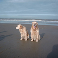 samen aan zee