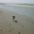 lekker lopen op het strand...