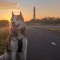 Natuurlijk moesten we de vuurtoren bij zonsopgang zien. En wat een prachtuitzicht en foto is het geworden, al zeg ik het zelf.