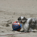 Lekker spelen met de bal op het strand van Texel.
