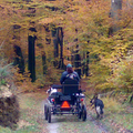 ritje op de veluwe...