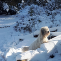 Wandeling in de sneeuw, met recht winter wonderland.