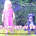 Les copains de Koos - Bourgogne