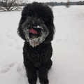 Heerlijk genieten van het winters weer!