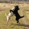 Dansles is ook een leuke bezigheid.
Samen dansen we de tango!