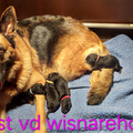 van de Wisnarehoeve