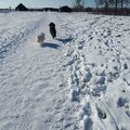 Sneeuw blijft mooi, alles ziet er zo anders uit.