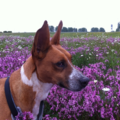 Foto van Yooop