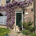 De dames moesten even poseren 