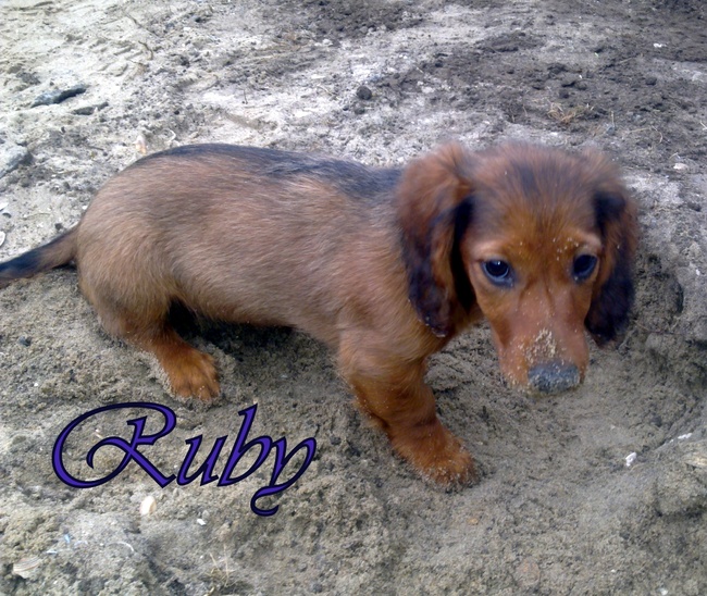 Ik lijk zo onschuldig...