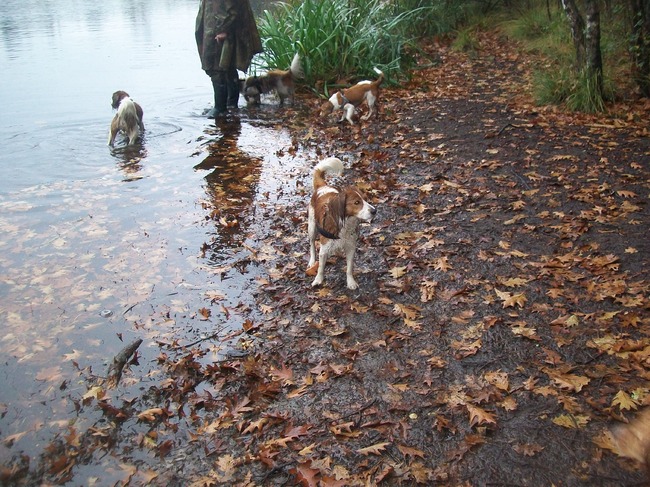 kooiker wandeling chaam