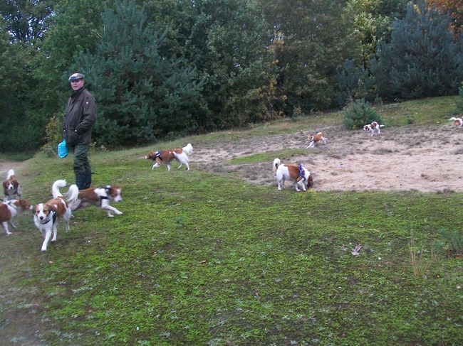 kooiker wandeling chaam